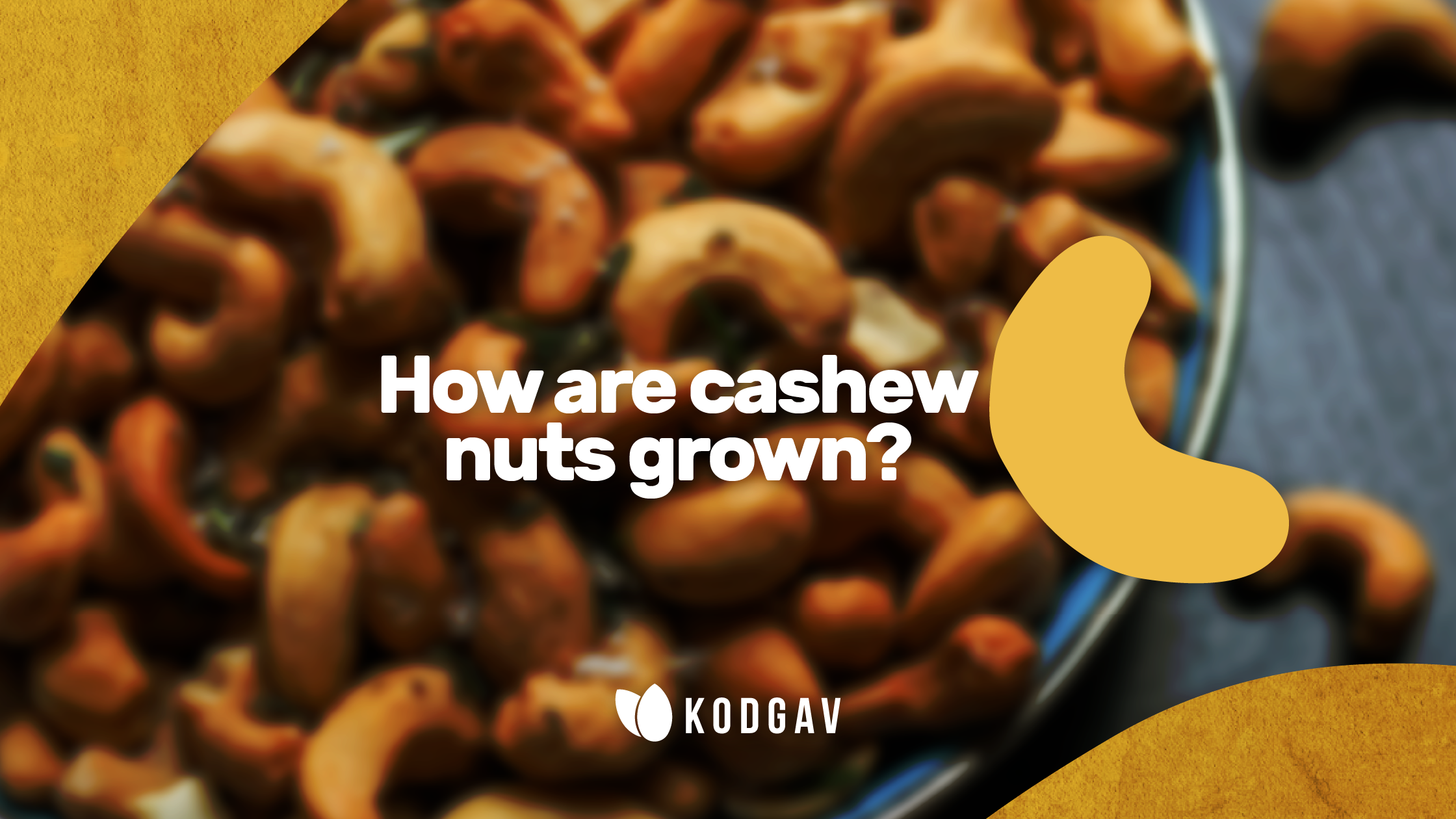 How Are Cashew Nuts Grown